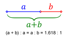Golden Section